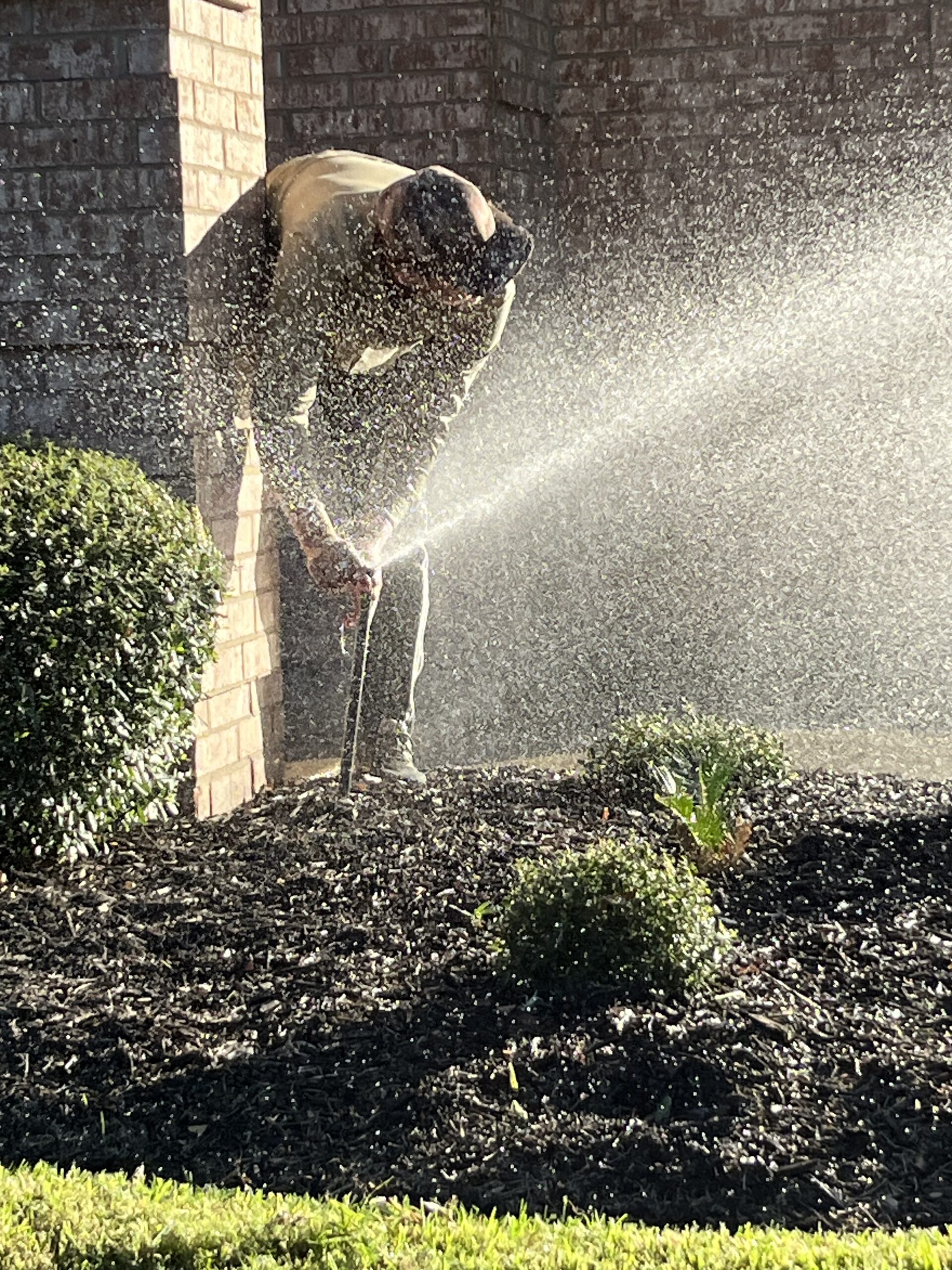 irrigation2