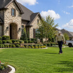 Complete Lawn Care Services in Lewisville, TX: A Guide for Property Owners