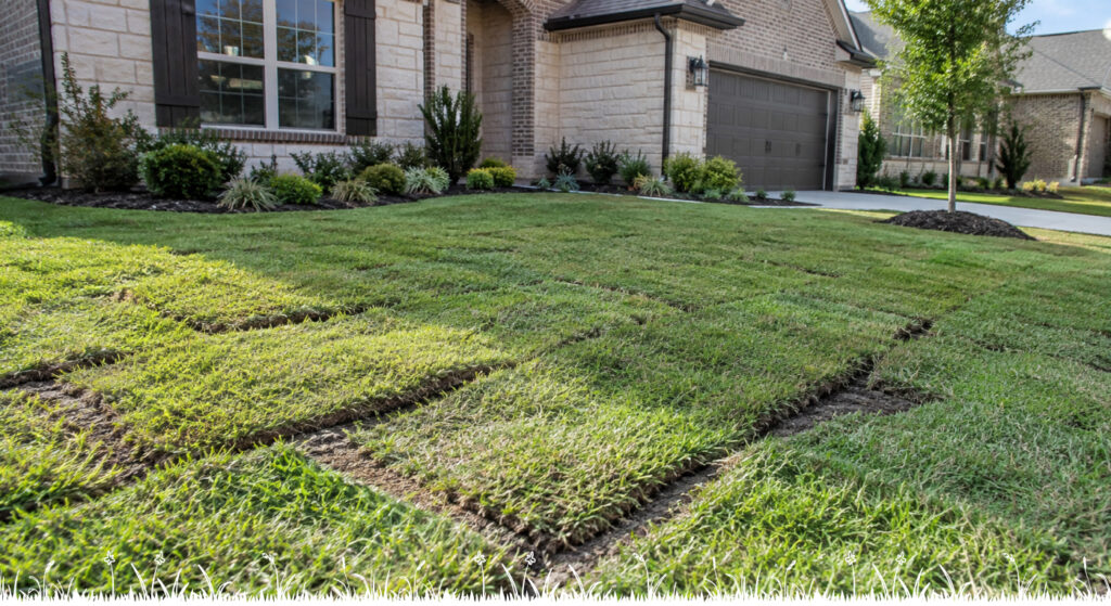 Sod grass installation service